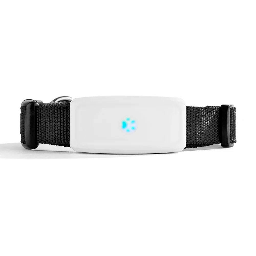 2G GSM GPS Tracker Pet TK911 GPS Locator Mini GPS Pets Tracker 2G GSM Best Dog GPS Tracker with Free APP Waterproof IP67