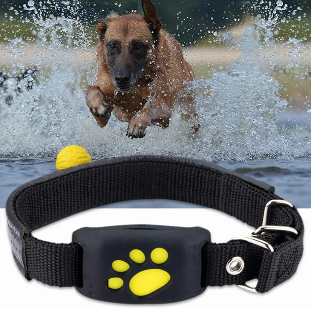 Reliable Cats Real Time Tracking Technology Gps Tracker Must-Have Durable Pet Collar Wireless Gps Tracker Pet Locator Waterproof
