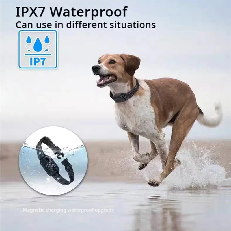 Dog Training Collar Dog Shock Collar with Remote 2600FT Electric Dog Training Collar with 3 Training Modes 16 Level Adjustable S