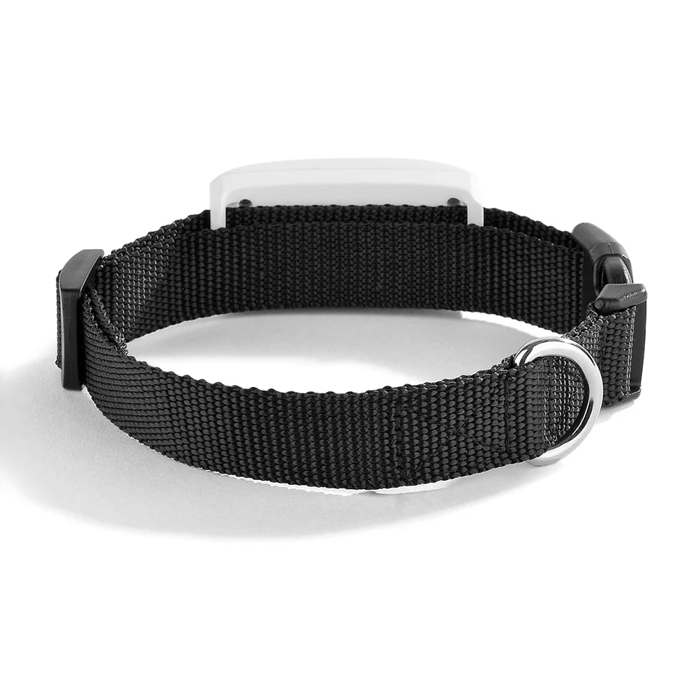 2G GSM GPS Tracker Pet TK911 GPS Locator Mini GPS Pets Tracker 2G GSM Best Dog GPS Tracker with Free APP Waterproof IP67