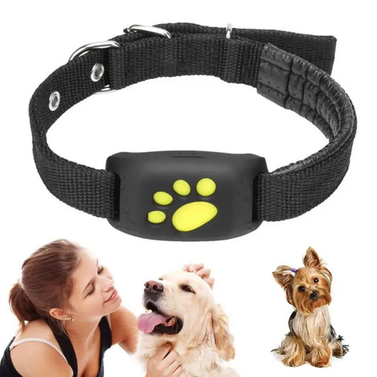 Reliable Cats Real Time Tracking Technology Gps Tracker Must-Have Durable Pet Collar Wireless Gps Tracker Pet Locator Waterproof